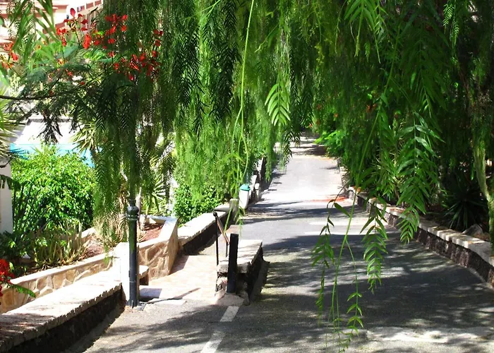 Apartamento Cozy Wi-fi Gratis Costa Adeje (Tenerife)