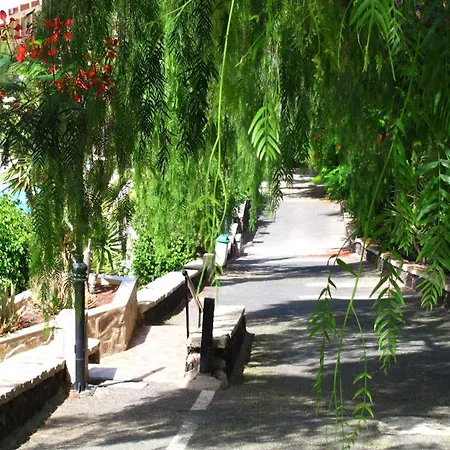 Apartament Cozy Wi-fi Gratis Costa Adeje (Tenerife)